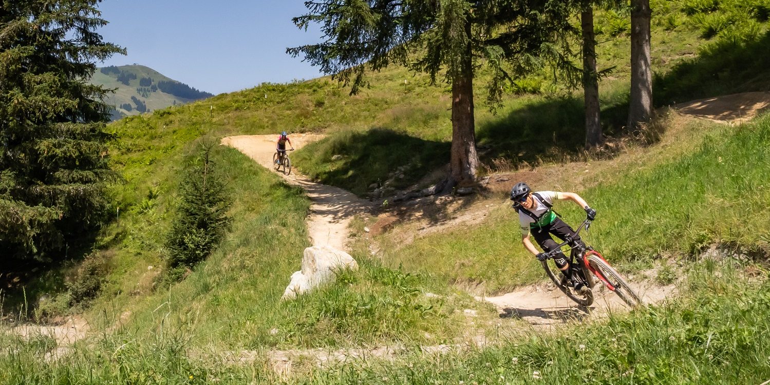 MTB All Mountain