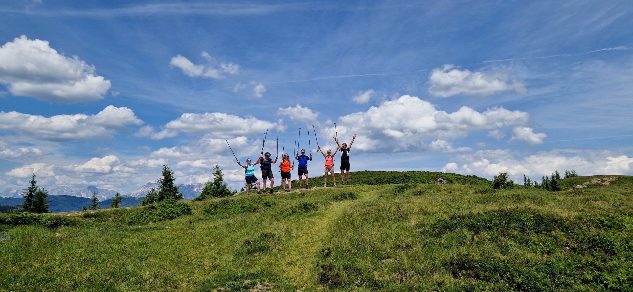 Trailrun Viehhofen