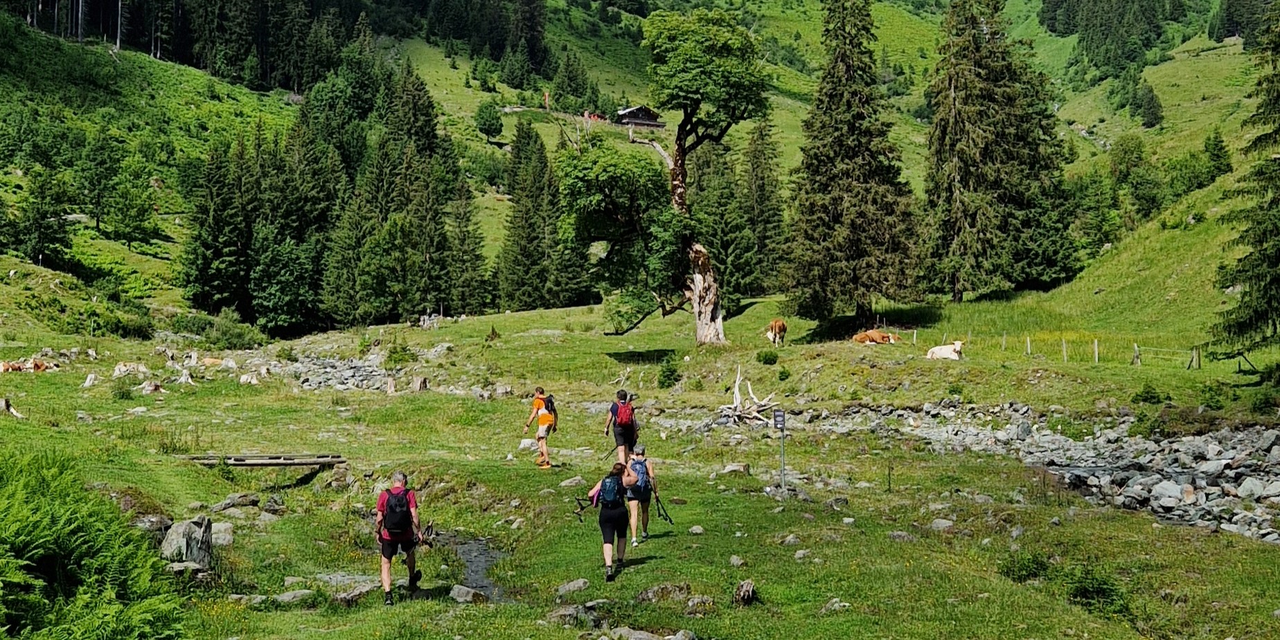 Hiking Talschluss 2-1