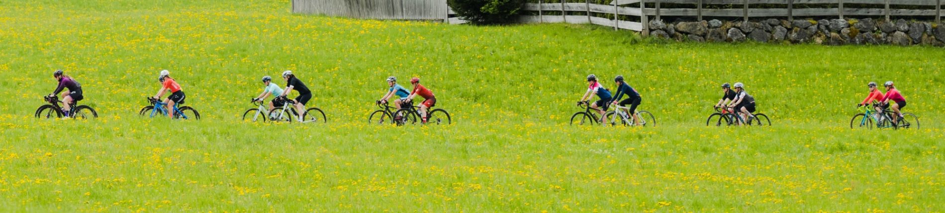 Fietsvrouwen op pad