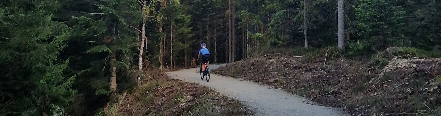 Fietsvrouwen door het bos