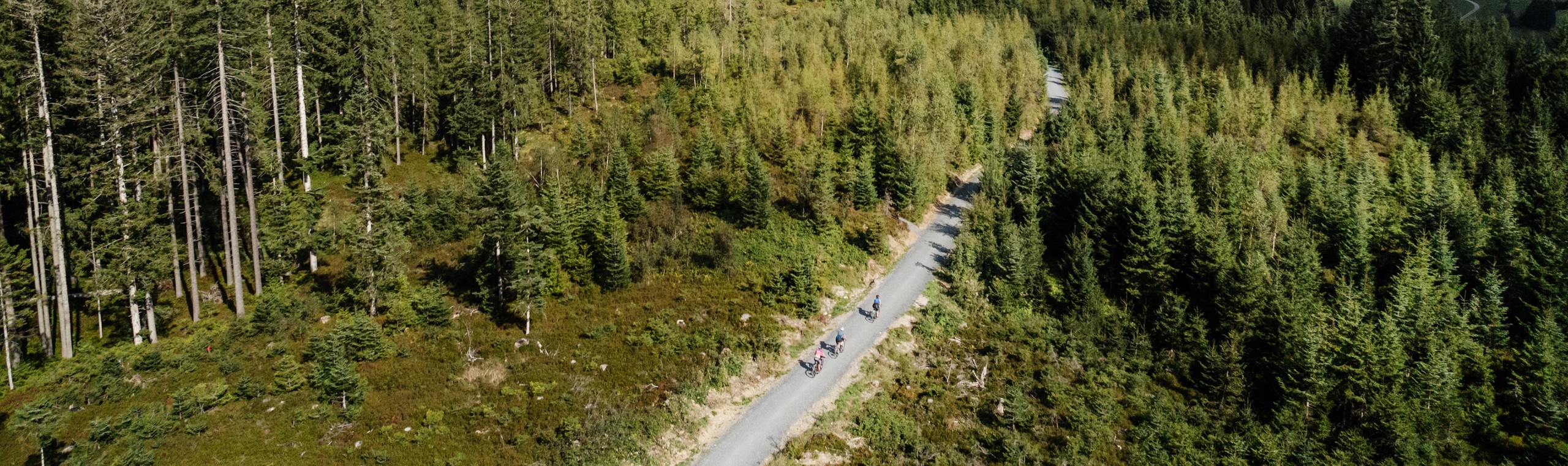 Fietsvrouwen Slider