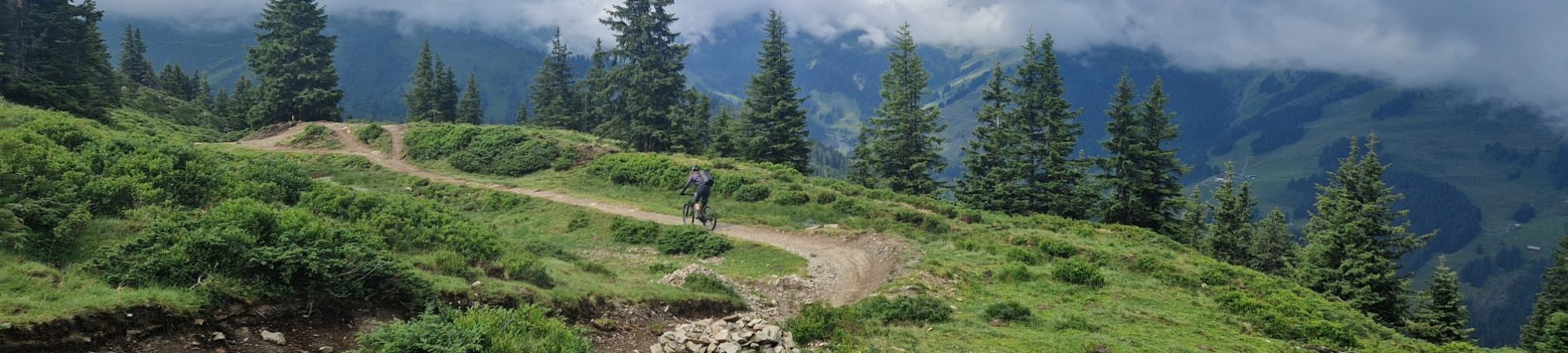 Hacklberg Trail MTB