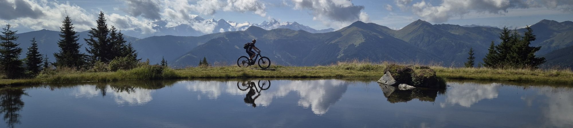 E-bike Tour Viehhofen